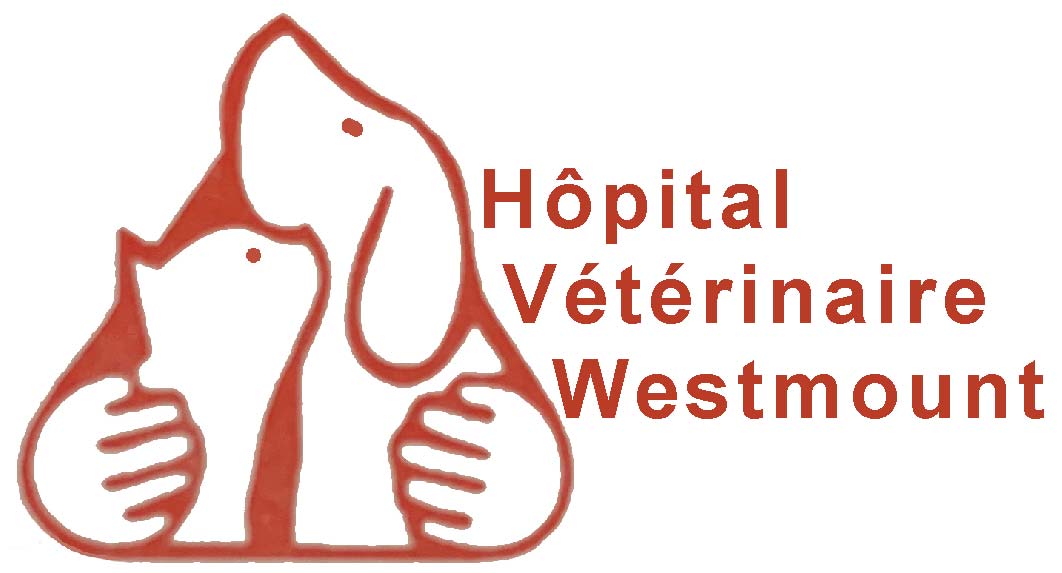 Hôpital vétérinaire Westmount
